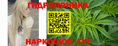 стафф Дубна