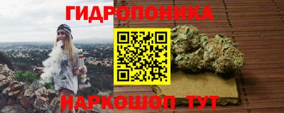 стафф Дубна