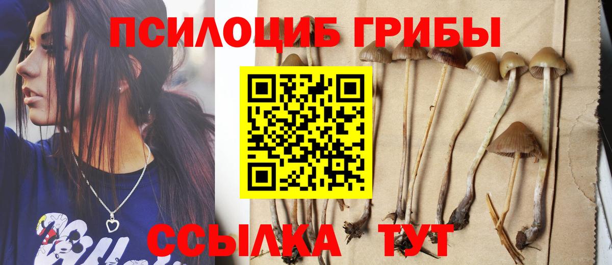 Кумертау  Галлюциногенные грибы ЛСД  Вход с VPN 